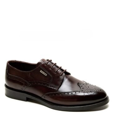 BROWN PREMIUM SHOES